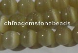 CCT1329 15 inches 6mm round cats eye beads wholesale