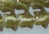 CCT866 15 inches 10mm star cats eye beads wholesale