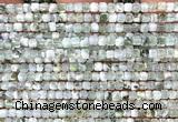 CCU1697 15 inches 2.5mm faceted cube tree agate beads