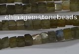 CCU311 15.5 inches 4*4mm cube labradorite beads wholesale