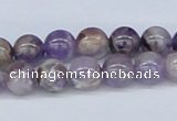 CDA52 15.5 inches 8mm round dogtooth amethyst beads wholesale