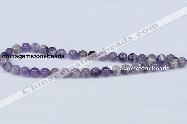 CDA53 15.5 inches 10mm round dogtooth amethyst beads wholesale