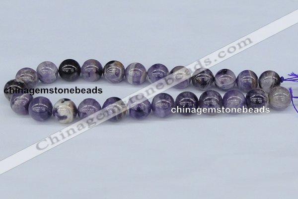 CDA56 15.5 inches 16mm round dogtooth amethyst beads wholesale