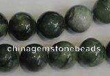 CDJ16 15.5 inches 14mm round Canadian jade beads wholesale