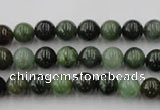 CDJ251 15.5 inches 6mm round Canadian jade beads wholesale