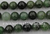 CDJ253 15.5 inches 10mm round Canadian jade beads wholesale