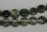 CDJ26 15.5 inches 10mm flat round Canadian jade beads wholesale