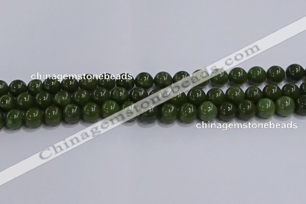 CDJ273 15.5 inches 10mm round Canadian jade beads wholesale