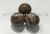 CDN1115 30mm round zebra jasper decorations wholesale