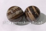 CDN1291 40mm round zebra jasper decorations wholesale