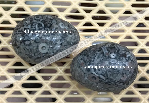 CDN347 35*50mm egg-shaped fossil jasper decorations wholesale