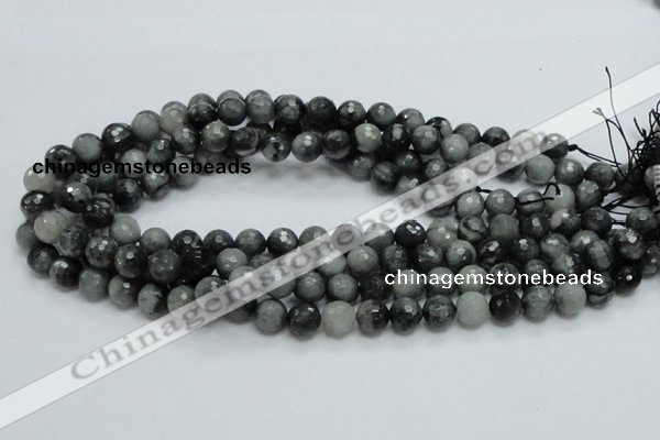 CEE21 15.5 inches 10mm faceted round eagle eye jasper beads wholesale
