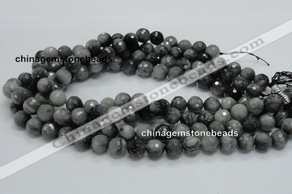 CEE22 15.5 inches 12mm faceted round eagle eye jasper beads wholesale