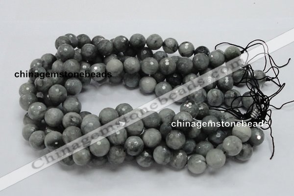 CEE23 15.5 inches 14mm faceted round eagle eye jasper beads wholesale