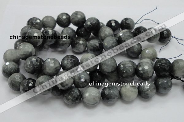 CEE25 15.5 inches 20mm faceted round eagle eye jasper beads wholesale