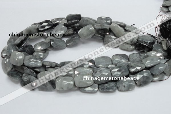 CEE34 15.5 inches 15*20mm faceted rectangle eagle eye jasper beads