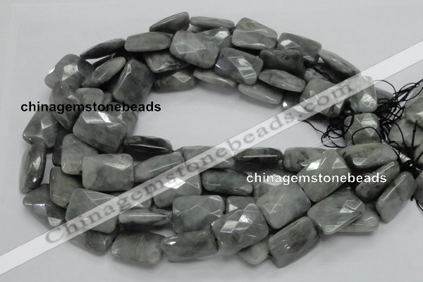 CEE35 15.5 inches 18*25mm faceted rectangle eagle eye jasper beads