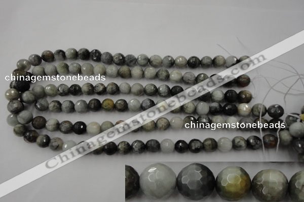 CEE353 15.5 inches 10mm faceted round eagle eye jasper beads