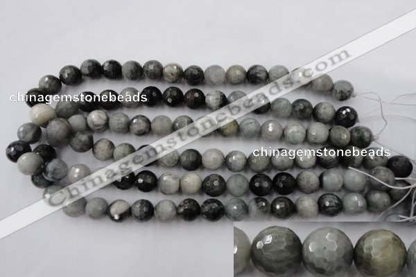 CEE354 15.5 inches 12mm faceted round eagle eye jasper beads