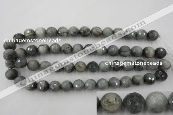 CEE355 15.5 inches 14mm faceted round eagle eye jasper beads