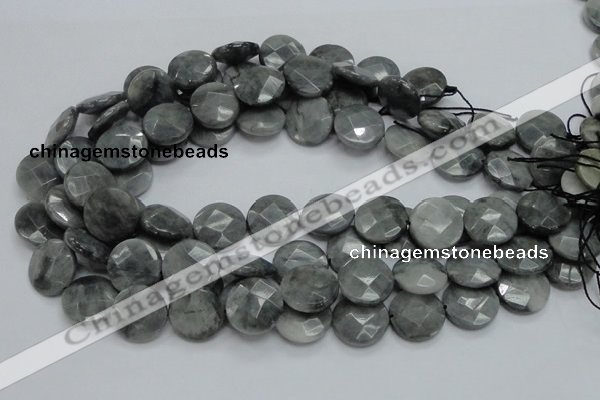 CEE38 15.5 inches 20mm faceted coin eagle eye jasper beads wholesale