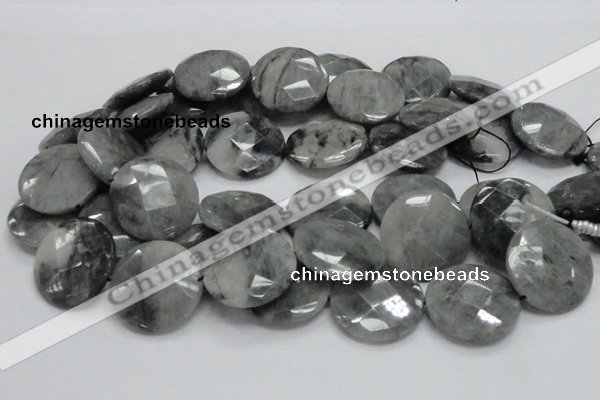 CEE40 15.5 inches 30mm faceted coin eagle eye jasper beads wholesale