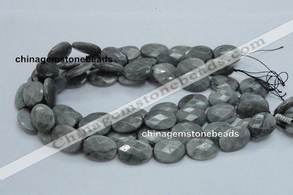 CEE43 15.5 inches 18*25mm faceted oval eagle eye jasper beads