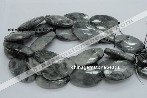 CEE45 15.5 inches 30*50mm faceted oval eagle eye jasper beads