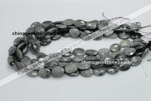 CEE50 15.5 inches 8*10mm faceted oval eagle eye jasper beads