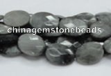 CEE52 15.5 inches 10*14mm faceted oval eagle eye jasper beads