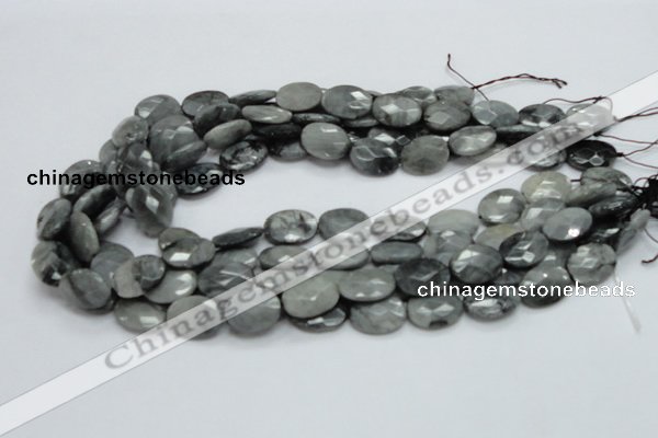 CEE52 15.5 inches 10*14mm faceted oval eagle eye jasper beads