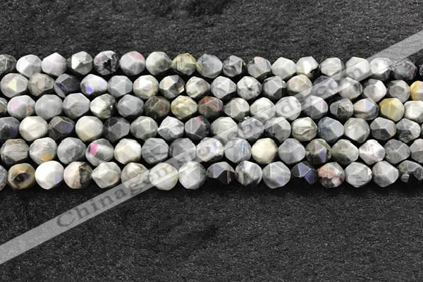 CEE530 15.5 inches 6mm faceted nuggets eagle eye jasper beads