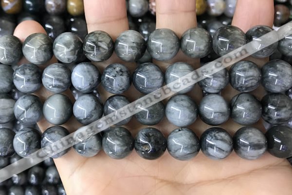 CEE544 15.5 inches 12mm round eagle eye jasper gemstone beads