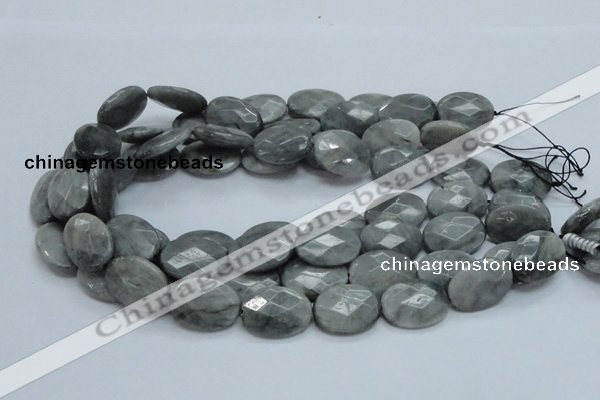 CEE55 15.5 inches 15*30mm faceted oval eagle eye jasper beads