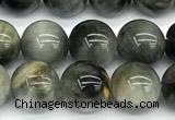 CEE551 15 inches 8mm round eagle eye jasper beads