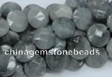 CEE57 15.5 inches 10mm faceted coin eagle eye jasper beads