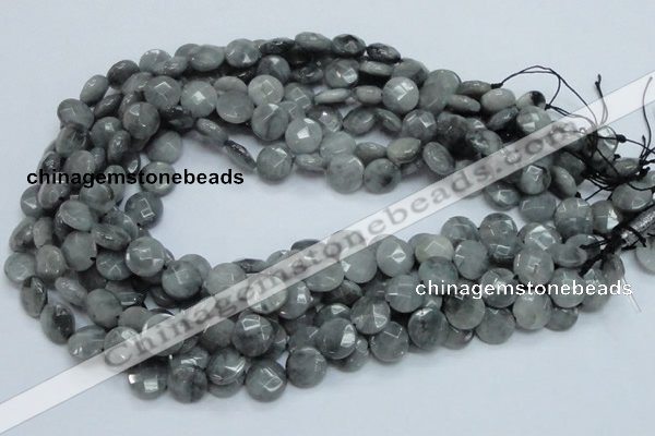 CEE57 15.5 inches 10mm faceted coin eagle eye jasper beads