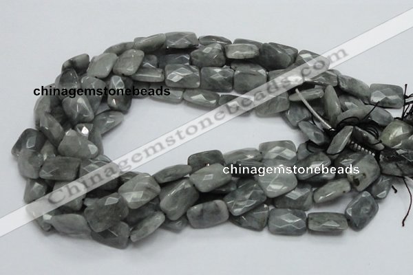 CEE60 15.5 inches 10*14mm faceted rectangle eagle eye jasper beads