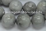 CEE61 15.5 inches 14mm round eagle eye jasper beads wholesale