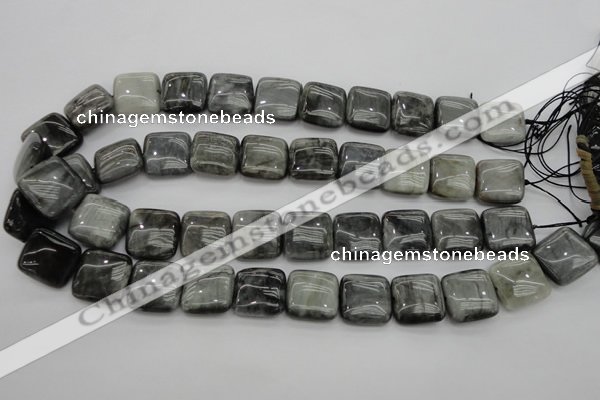 CEE78 15.5 inches 18*18mm square eagle eye jasper beads