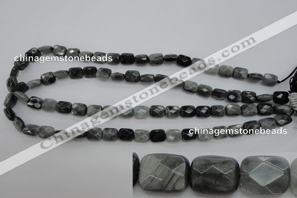 CEE80 15.5 inches 8*10mm faceted rectangle eagle eye jasper beads