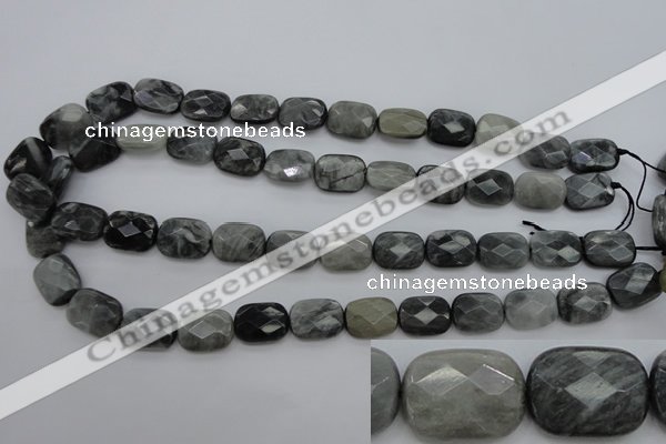 CEE81 15.5 inches 12*16mm faceted rectangle eagle eye jasper beads