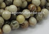 CFA03 15.5 inches 10mm round chrysanthemum agate gemstone beads