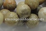 CFA04 15.5 inches 16mm round chrysanthemum agate gemstone beads