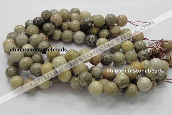 CFA04 15.5 inches 16mm round chrysanthemum agate gemstone beads