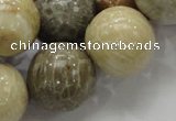 CFA05 15.5 inches 20mm round chrysanthemum agate gemstone beads