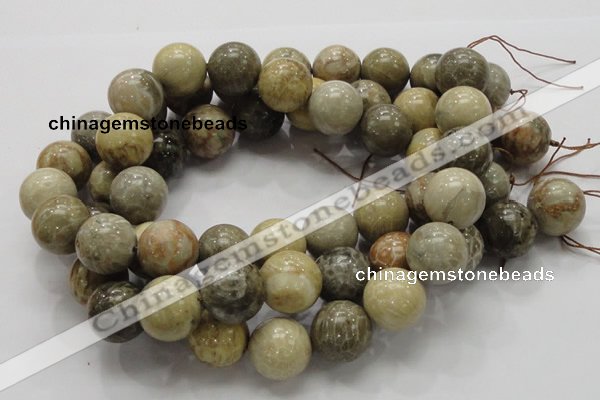 CFA05 15.5 inches 20mm round chrysanthemum agate gemstone beads