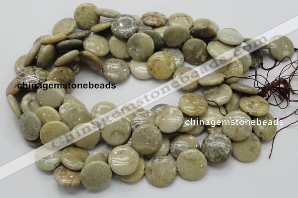 CFA08 15.5 inches 20mm flat round chrysanthemum agate gemstone beads