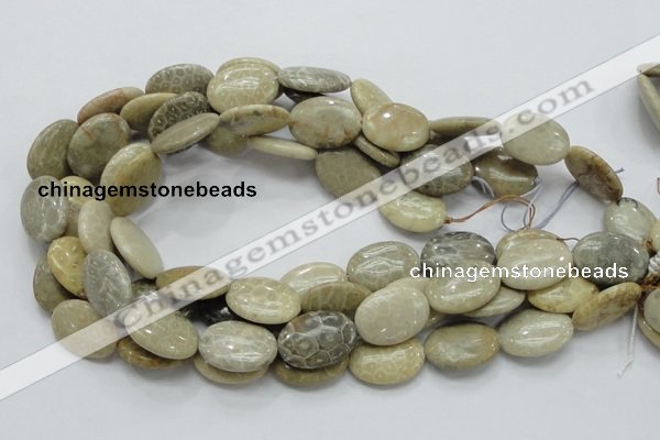 CFA11 15.5 inches 18*25mm oval chrysanthemum agate gemstone beads