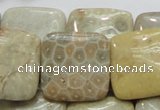 CFA18 15.5 inches 25*25mm square chrysanthemum agate beads